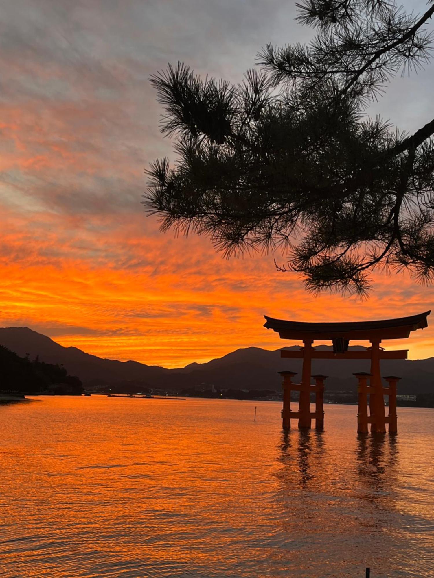 宮島 町家宿 進龍庵 Hatsukaichi Dış mekan fotoğraf
