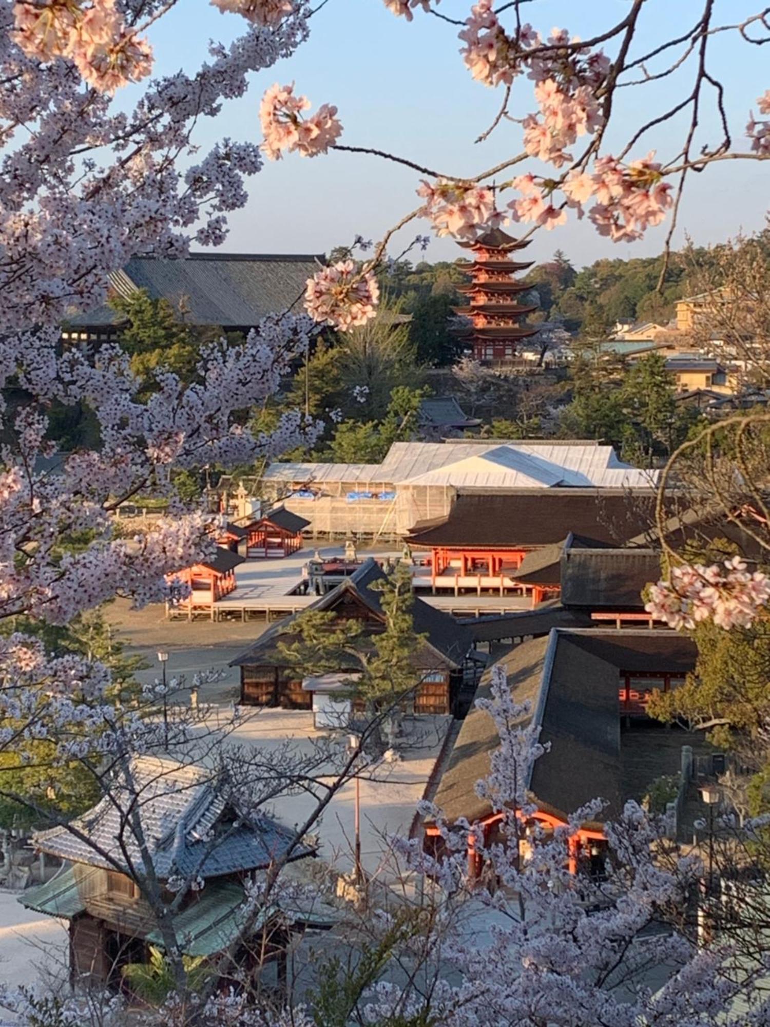 宮島 町家宿 進龍庵 Hatsukaichi Dış mekan fotoğraf